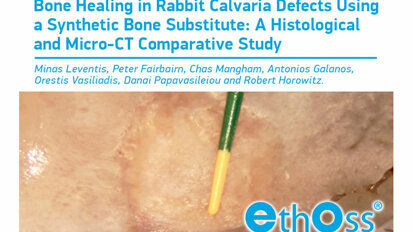 Bone Healing in Rabbit Calvaria Defects Using a Synthetic Bone Substitute