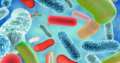 Betere genezing pockets door probiotica