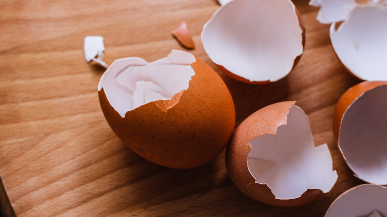 Eggshells may help heal teeth and bones