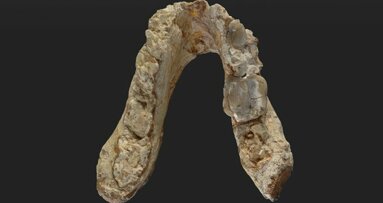 New research on mandible and premolar fossils could rewrite human history