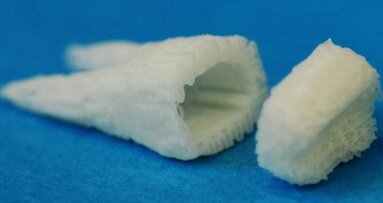 Columbia University announces break-through in tooth regeneration