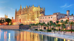 Exocad to host global CAD/CAM conference Insights 2022 in Palma de Mallorca
