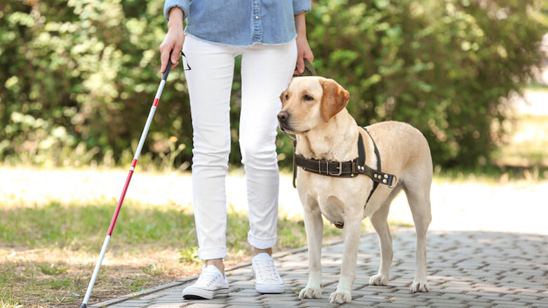 Union recommends practices update rules regarding assistance dogs