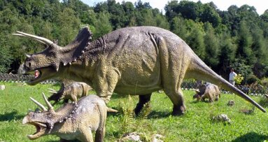 Triceratops had bijzonder modern gebit