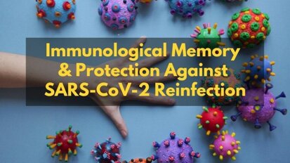 Humans develop robust immune response & memory that may provide lasting protection against Covid-19