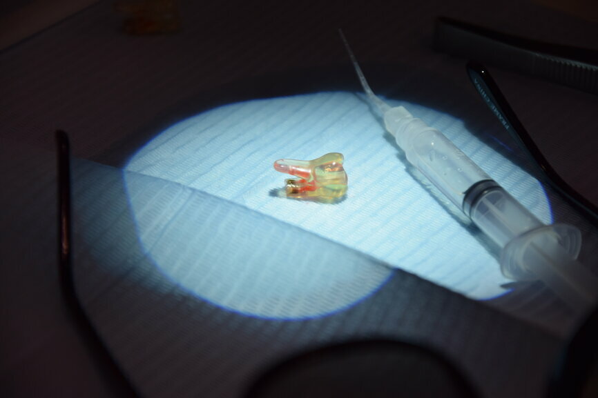 Dental endodontic teeth with roots for endodontic practice.
