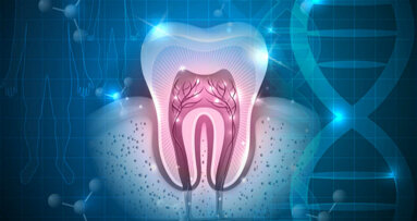 Novas pesquisas podem acelerar a Odontologia regenerativa