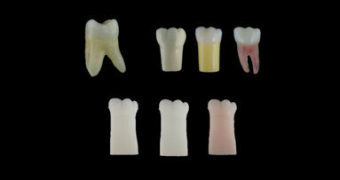Dental students need better-quality artificial teeth for practice