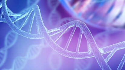 Studium Genetics e Biomax sottoscrivono un accordo strategico per la vendita del test SG-OCRA in Italia