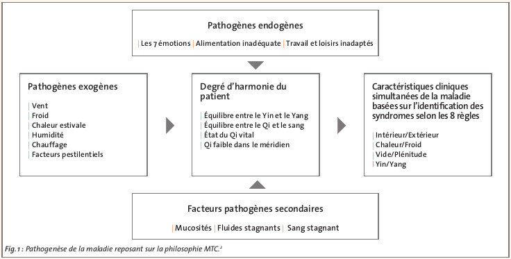 Pathogenèse de la maladie reposant sur la philosophie MTC.2