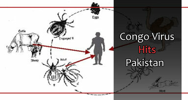 Congo Virus Hits Pakistan