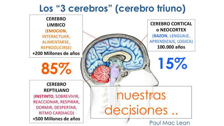 Venciendo Obstáculos