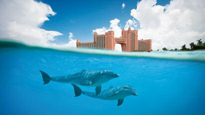 Fourth MIS Global Conference to be held in Paradise Island, Bahamas, in February
