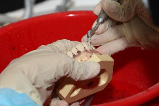 Hands-on training “Periodontal Instrumentation & Sharpening” by Mary Rose Pincelli, Italy
