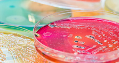 “Como bactérias pegando carona nos fungos” – estudo mostra como os organismos “caminham” pelos dentes