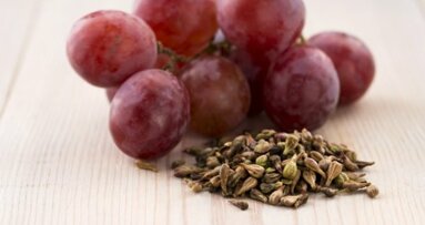 Sementes de uva podem ser a chave para aumentar a durabilidade dos produtos para obturação dentária