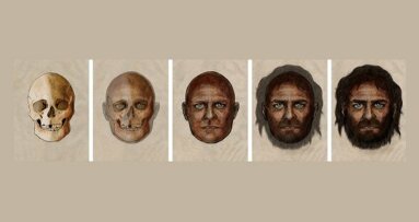 Portrait d'un homme du mésolithique reconstitué à partir d'une de ses dents
