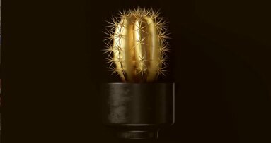 „Goldener Kaktus“ geht an die Versicherungskammer Bayern