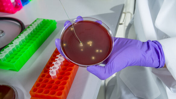 Report finds disposable bib holders eliminate risk of bacterial transmission