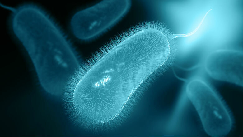 Fascette Per Il Fissaggio Di Cavi Elettrici E Tubi Rigidi 8-32 Pzz.80 - - Termoidraulica E Sanitari - Foto 8
