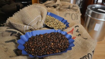 Estudo brasileiro mostra que café pode cessar a cárie