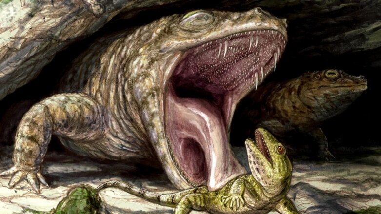 Ancient amphibians had mouthful of teeth, research shows