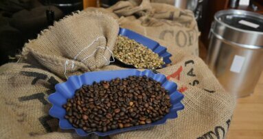 Estudo brasileiro mostra que café pode cessar a cárie