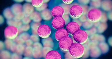 Experimental vaccine may help combat Staphylococcus aureus infection