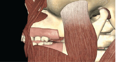 Onemocnění čelistního kloubu a ortodoncie