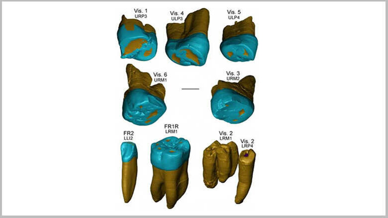Учени откриха черти, характерни за неандерталците, в древни зъбни останки