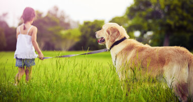 Norwegian study focuses on dog-assisted therapy in the dental practice