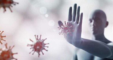 Besserer Schutz vor COVID-19 durch Antikörper harmloser Coronaviren