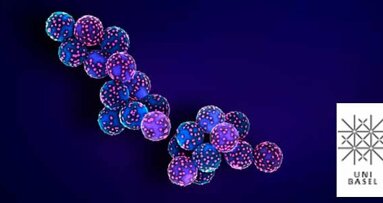 Forscher: Viren-Scan mit Nanotech-Methode