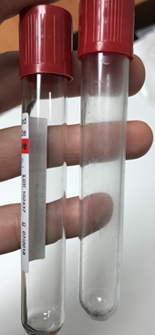Fig. 8: Plain natural glass tube vs. silica coated tube.