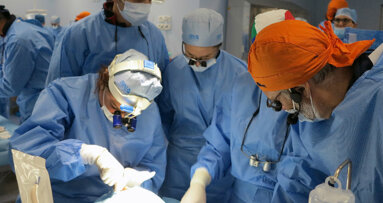 Anatomia chirurgica e dissezione su preparati anatomici
