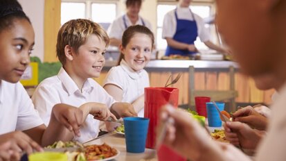 Study suggests school food environments strongly influence caries in kids
