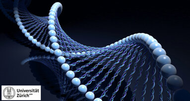 Reparaturmechanismus der DNA entschlüsselt