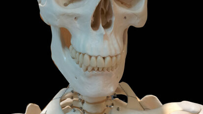 Quale futuro per l’utilizzo dell’osso di banca in odontoiatria?