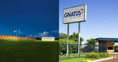 Dabi Atlante e Gnatus anunciam processo de fusão para crescer no segmento de saúde com foco no mercado global