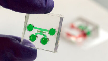 Miniature dental device mimics dentin–pulp interface