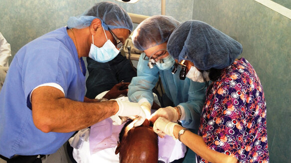 AAIP and Linkow Implant Institute offer implant course in Jamaica