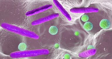 Bacteria boost antifungal drug resistance in severe childhood dental caries