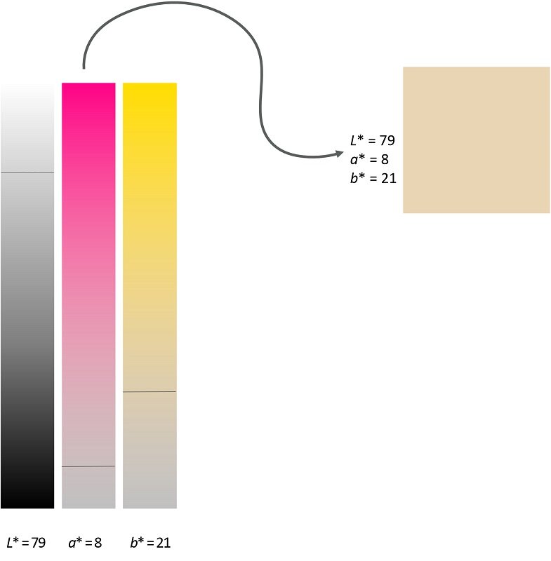 Fig. 6: Graphic representation. (albeit highly inaccurate) for didactical purposes, of the colour mixture of the L*a *b* dimensions to obtain a dental shade (i.e. A3).