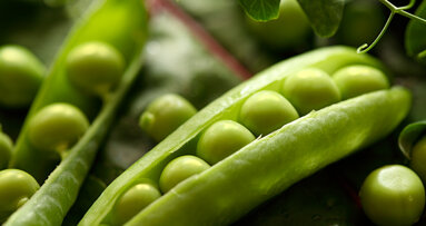 Witamina B zawarta w warzywach zmniejsza ryzyko rozwoju raka jamy ustnej