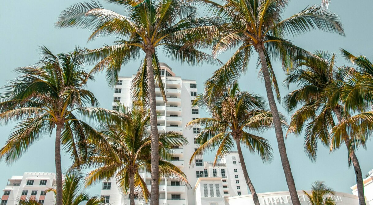 Miami’s Top Art Advisors: The Experts Behind the City’s Most Influential Collections