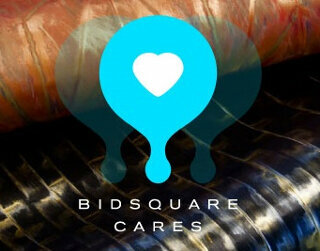 Bidsquare Cares: 3rd Annual Charity Auction of Unique Experiences