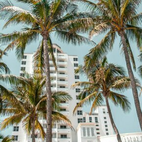 Miami’s Top Art Advisors: The Experts Behind the City’s Most Influential Collections