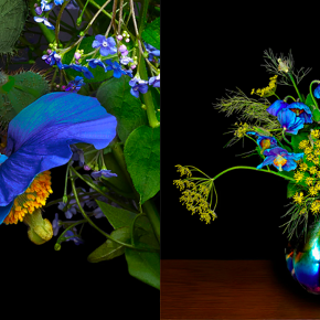 How Visual Artists Are Helping Fight Climate Change