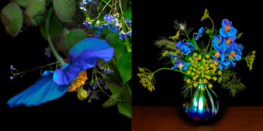 How Visual Artists Are Helping Fight Climate Change