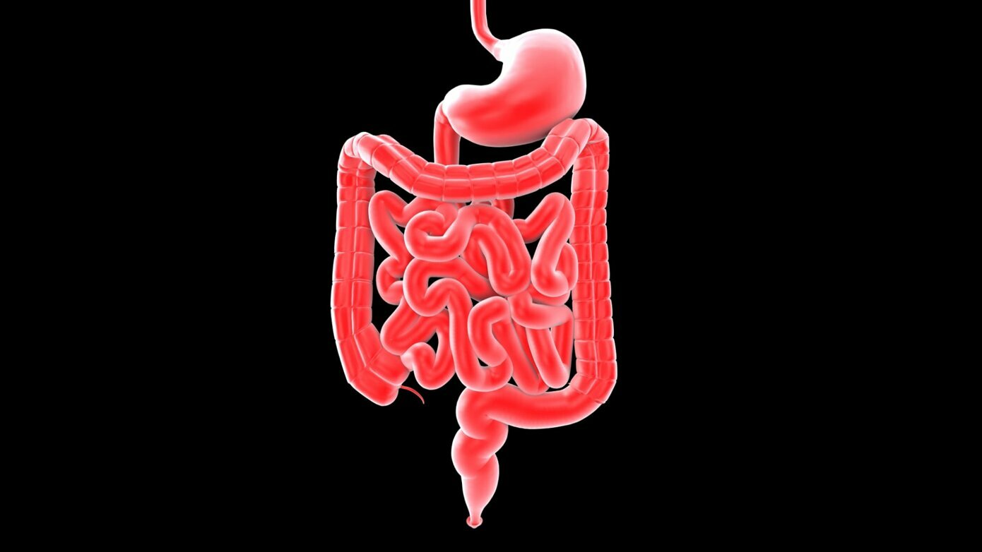 That Gut Feeling: Oral Manifestations of Gastrointestinal Inflammatory Conditions